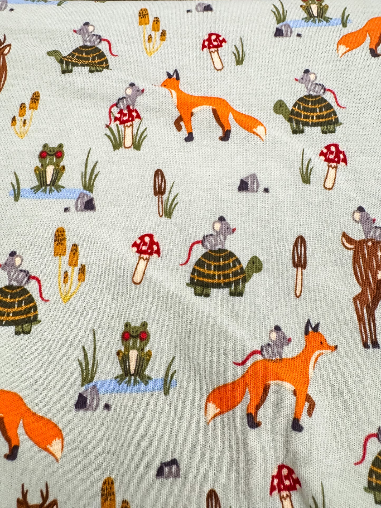 Fabric - Fox and Friends